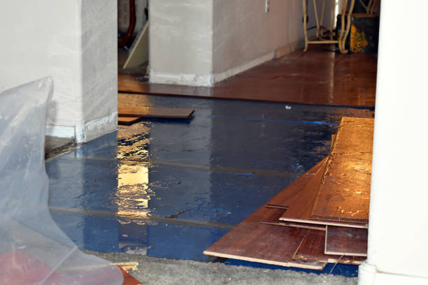 Professional Basement Flood Cleanup technician working in Scituate, MA